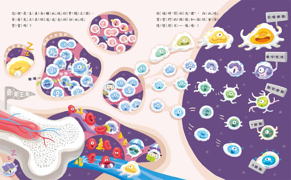 體內星球大戰：免疫系統的祕密